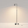 Напольный светильник (торшер) MAYTONI PIKANT MOD372FL-L10BS3K