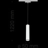 Трековый подвесной светильник MAYTONI FOCUS LED TR016-2-12W4K-B
