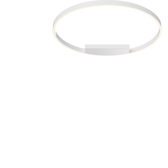 Потолочный светильник MAYTONI RIM MOD058CL-L50WK